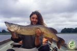 top water pike